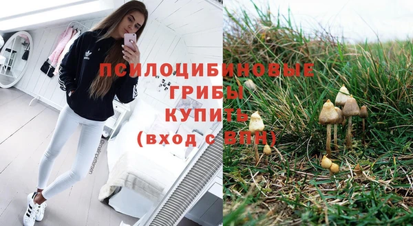 тгк Верхний Тагил