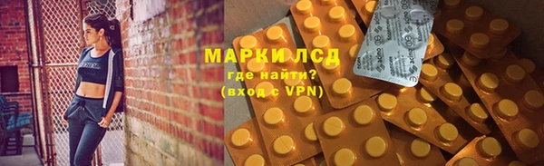 прущие грибы Ступино